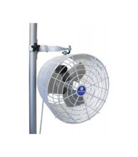 Picture of TENT FAN