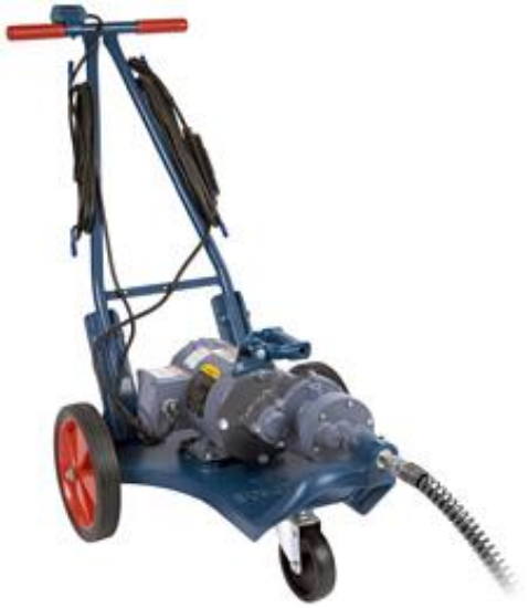 Picture of Electric Eel